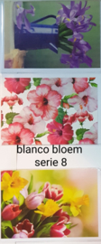 3 wenskaarten met envelop blanco bloem keuze uit 10 series klik hier voor de andere series