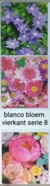 3 stuks blanco wenskaart vierkant  bloem met envelop  keuze uit 10 series klik hier voor andere series