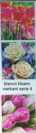 3 stuks blanco wenskaart vierkant  bloem met envelop  keuze uit 10 series klik hier voor andere series