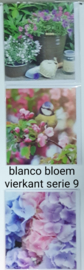 3 stuks blanco wenskaart vierkant  bloem met envelop  keuze uit 10 series klik hier voor andere series