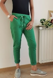 Jog pants Sam Gucci Green