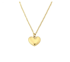 By Shir Ketting Evy