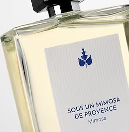 REMINISCENCE SOUS UN MIMOSA DE PROVENCE EDT 50 ML
