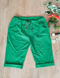 Capri  Pants Anne Gucci Green PLUS SIZE