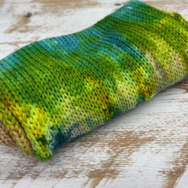 Flowers On The Wall sock blank