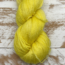 Yellow Duck
