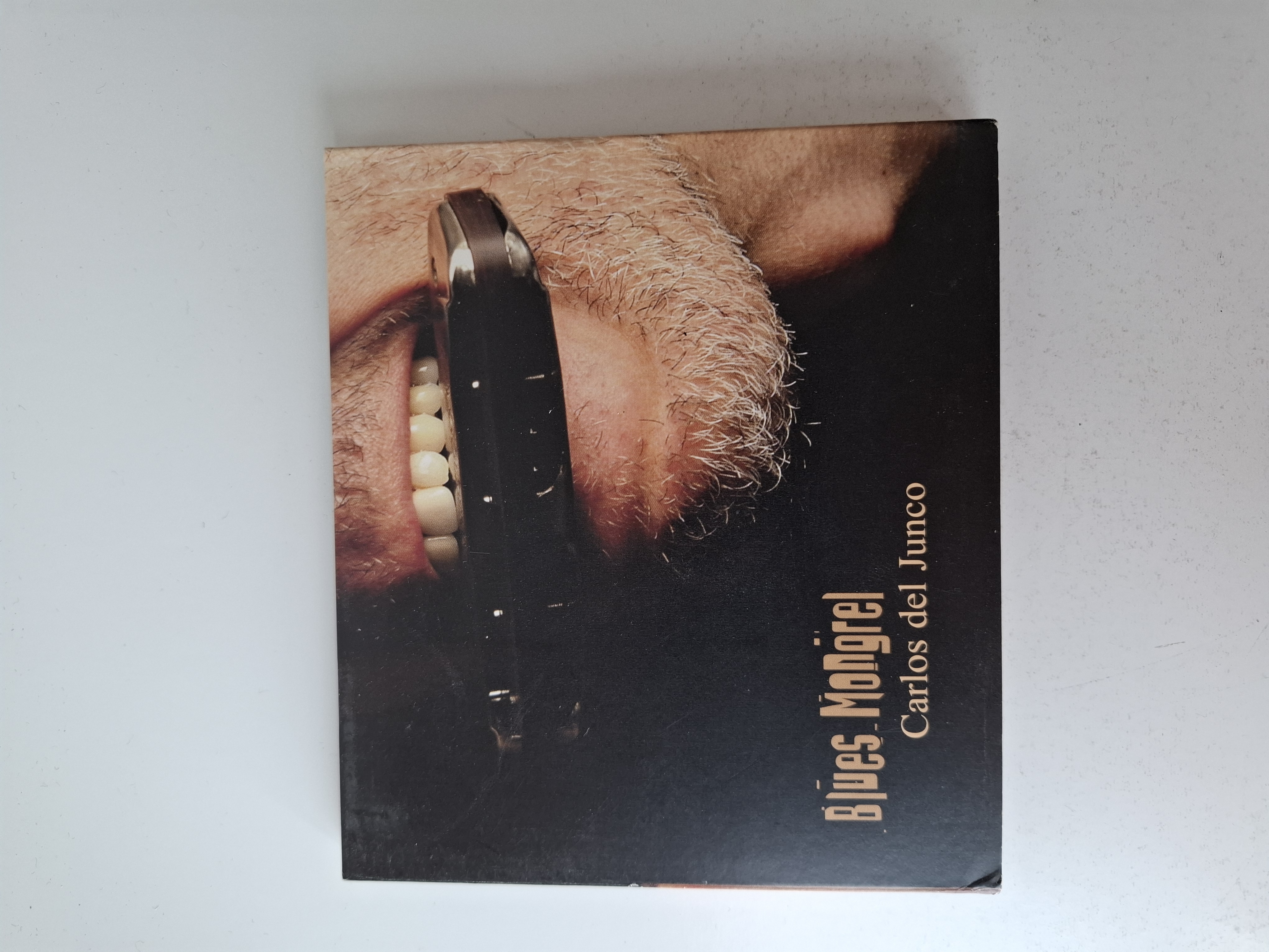 Carlos del Junco - Blues Mongrel