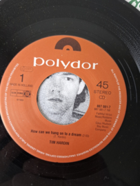 Tim Hardin - How can we hang on to a dream