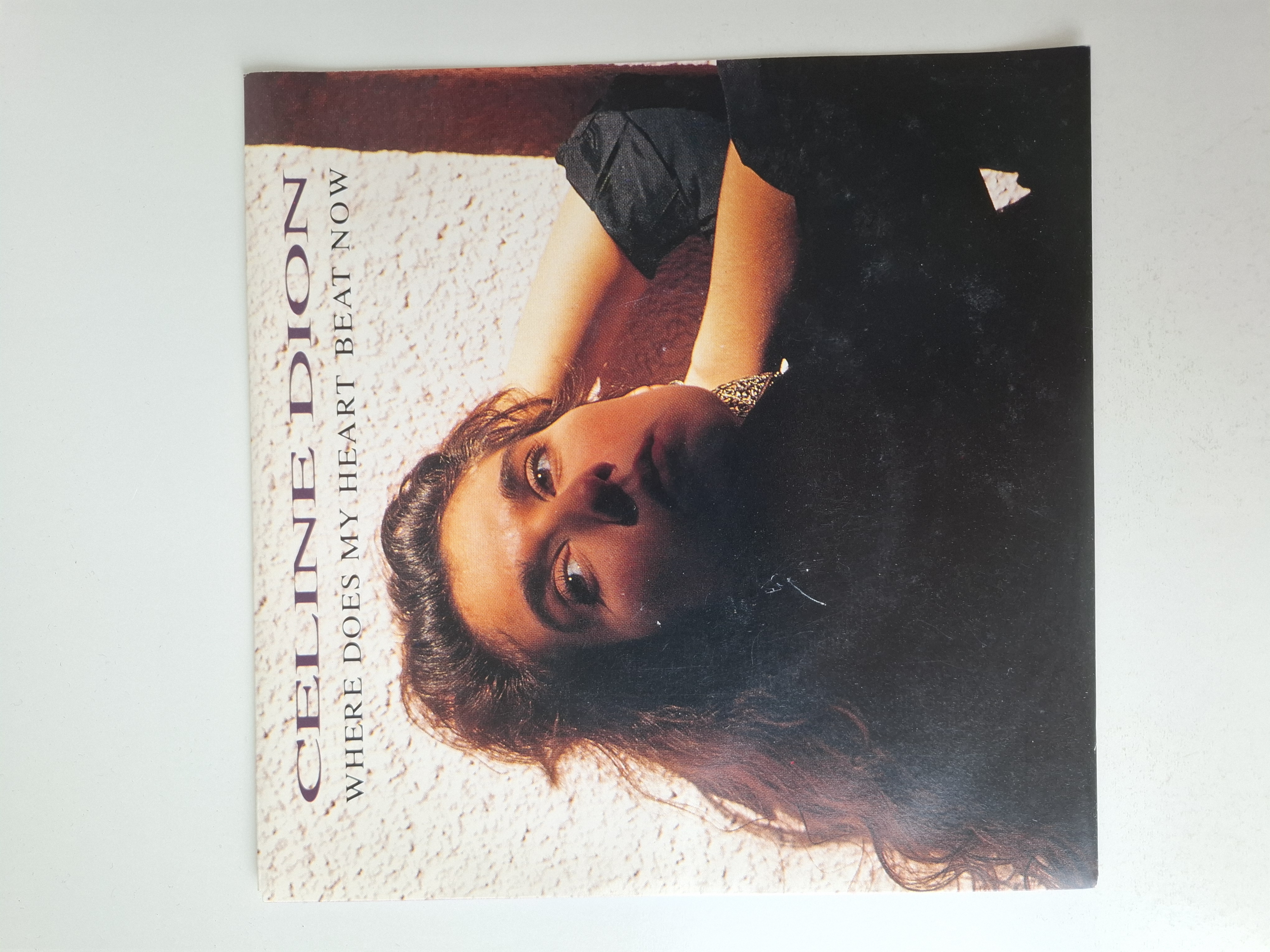 Celine Dion - Where does my heart beat now