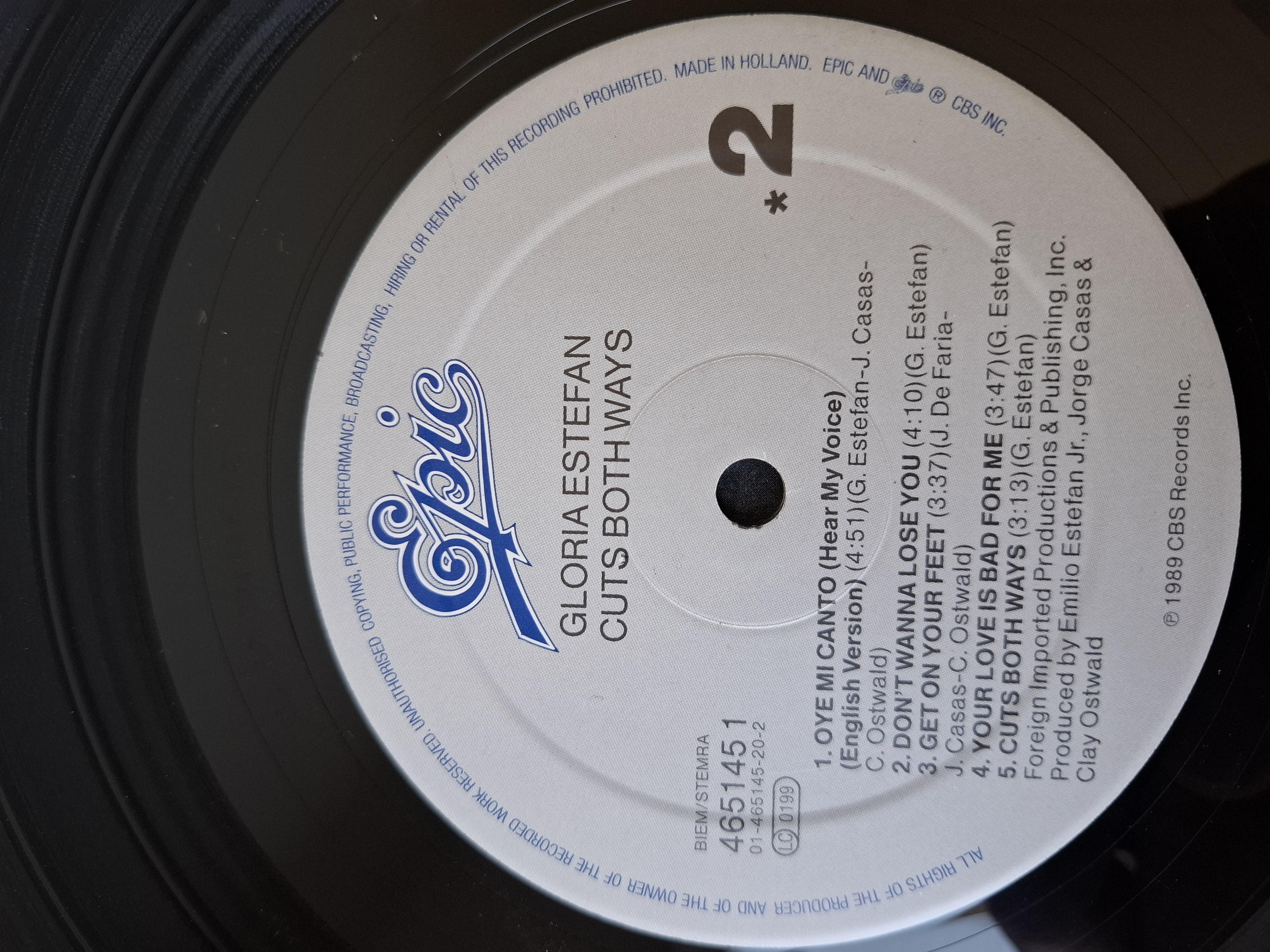 Gloria Estefan - Cuts both ways
