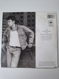 Paul Young - Wonderland