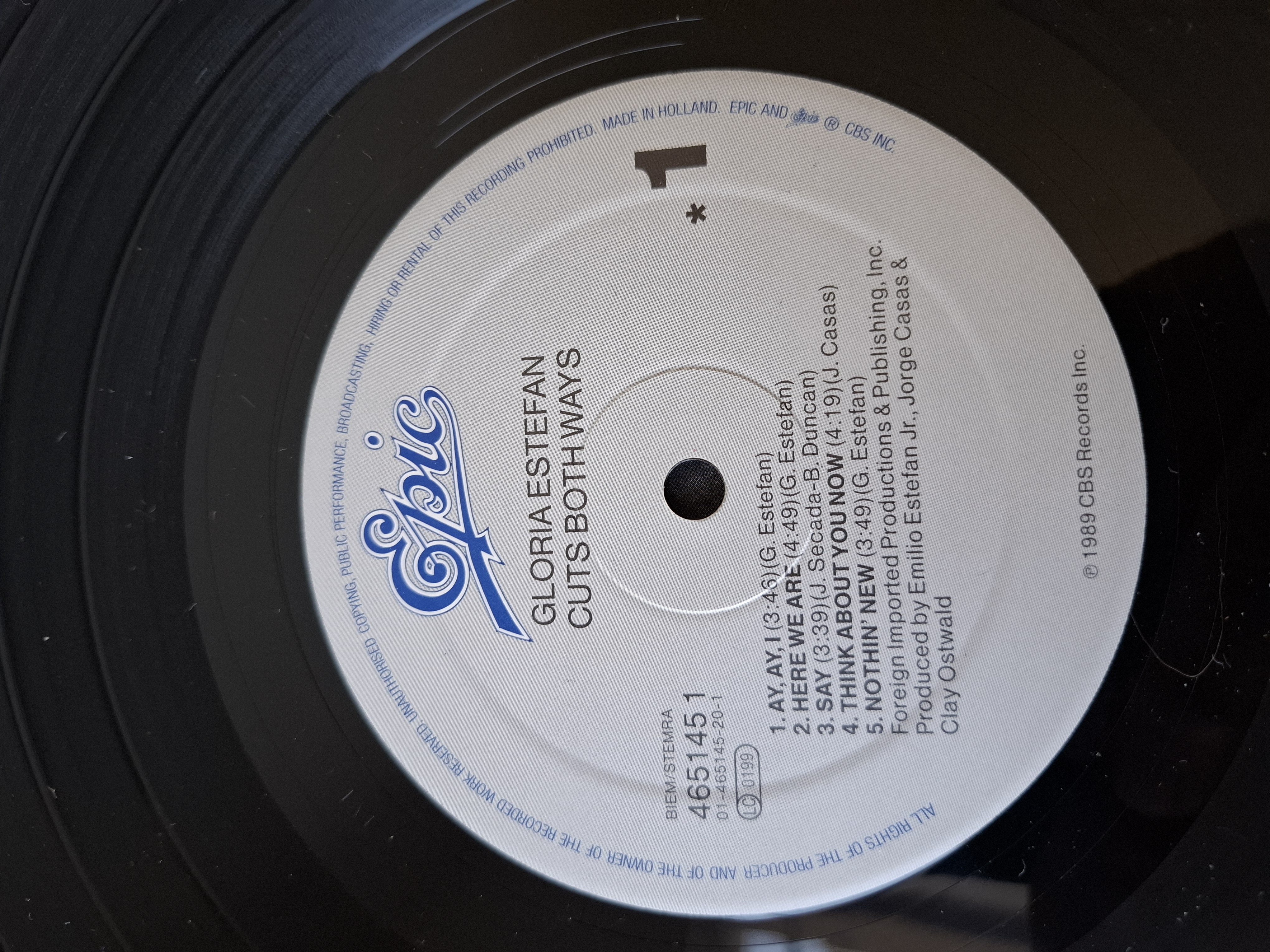 Gloria Estefan - Cuts both ways