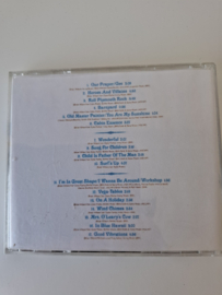 Brian Wilson - Present smile