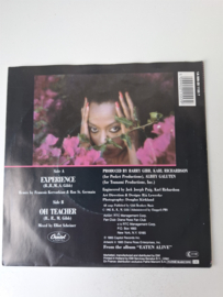 Diana Ross -  Experience