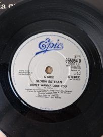Gloria Estefan - Don't wanna lose you