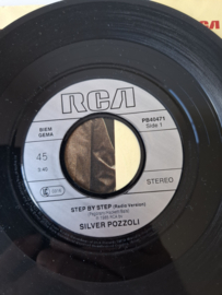 Silver Pozzoli - Step by step