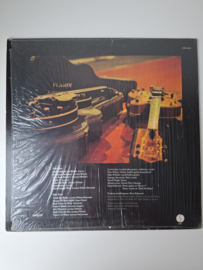 Flamin' Groovies - Now