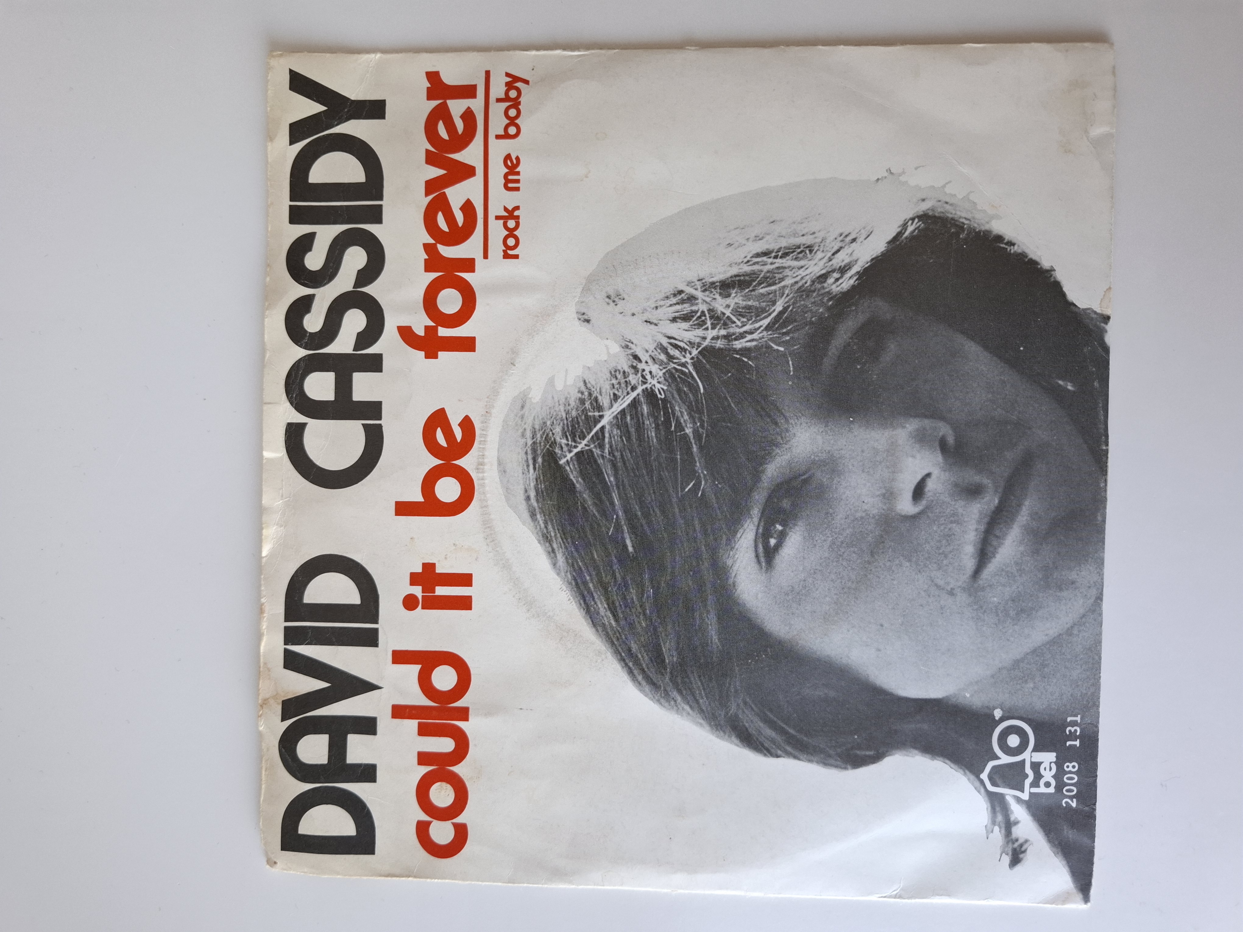 David Cassidy - Could it be forever
