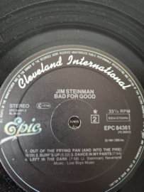 Jim Steinman - Bad for good