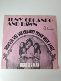 Tony Orlando and Dawn - Who's in the strawberry patch with Sally