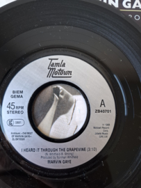 Marvin Gaye - I heard it through the grapevine