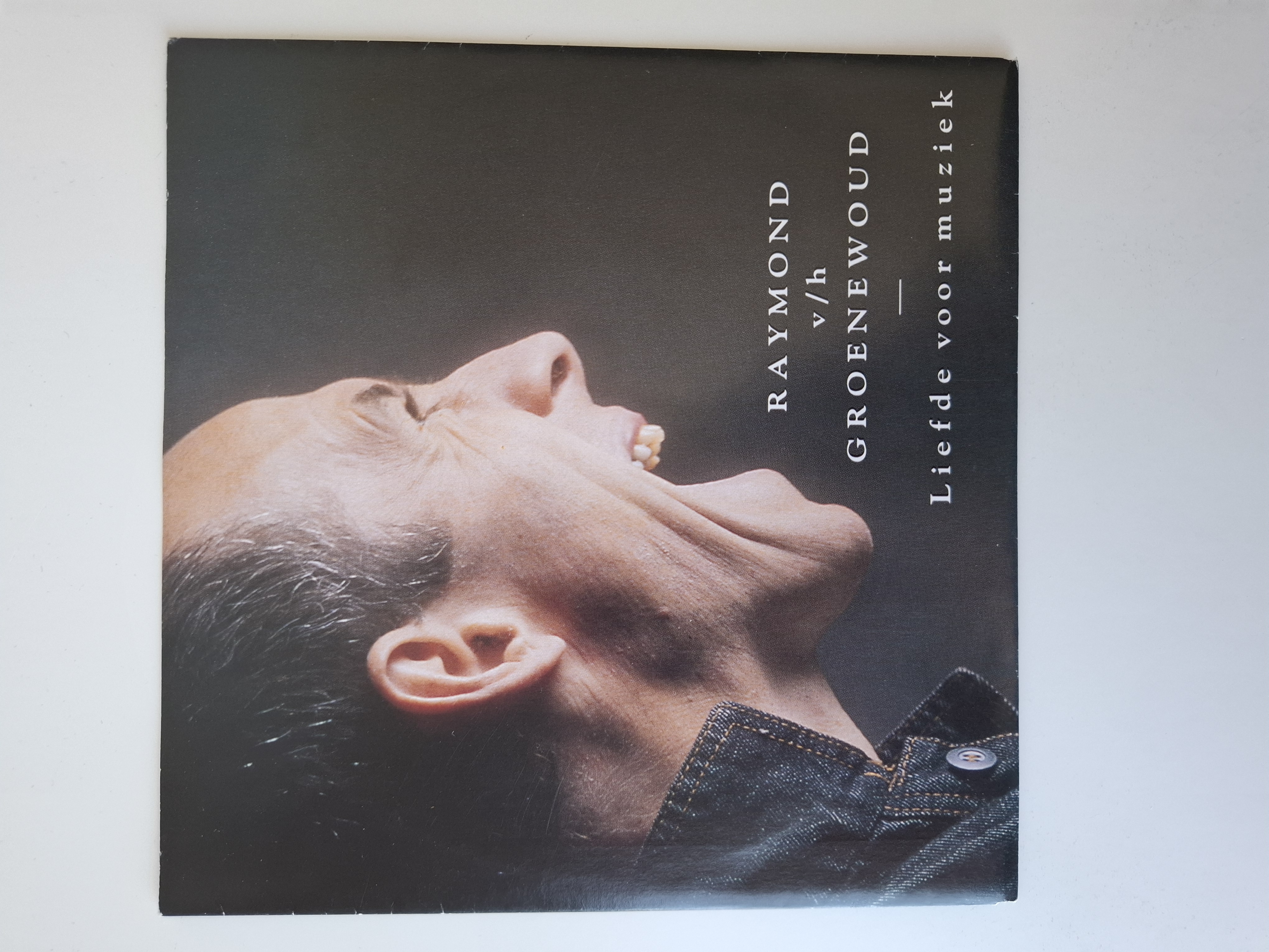Raymond van het Groenewoud - Liefde voor muziek