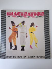 Imagination - Last days of summer ( 12")