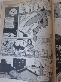 Batman nr 119