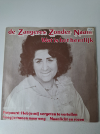 Zangeres zonder naam - Wat is het heerlijk