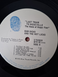 Dan Hicks and the hot licks - Last train to Hicksville