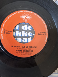 Tineke Schouten - Lenie uit de Takkestraat