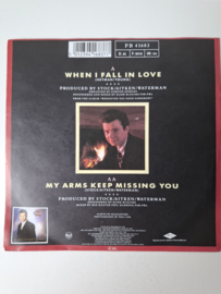 Rick Astley - When I fall in love