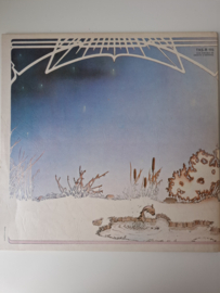 Camel _ Moon Madness