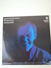 Jim Diamond  - I should have known better