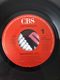 The Passadenas - Enchanted lady