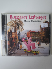 Buckshot Lefonque - Music evolution