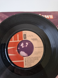 The Shadows - theme of the Deer hunter
