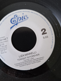 Liza Minelli - Losing my mind