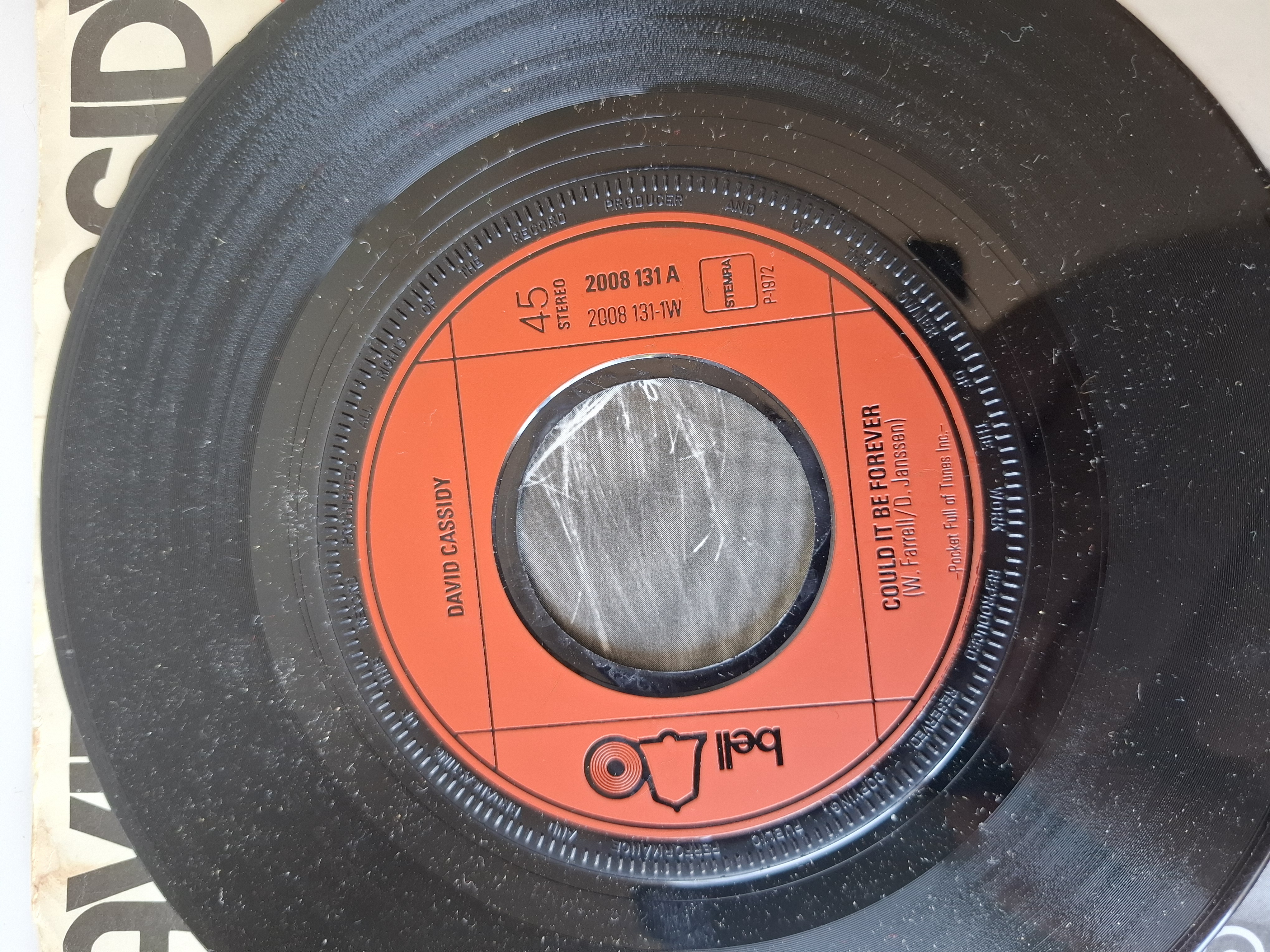 David Cassidy - Could it be forever