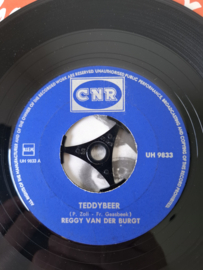Reggy van der Burgt - Teddybeer