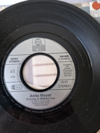 Anita Meijer - Idaho
