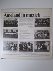 Ameland in Muziek