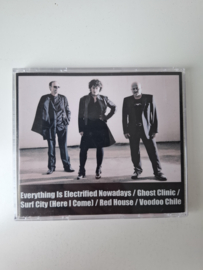 Bastardi di Blues - Everything is electrified nowadays