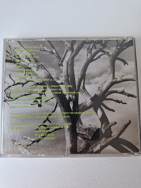 Erny Green's Monkey nerve - Now's the time