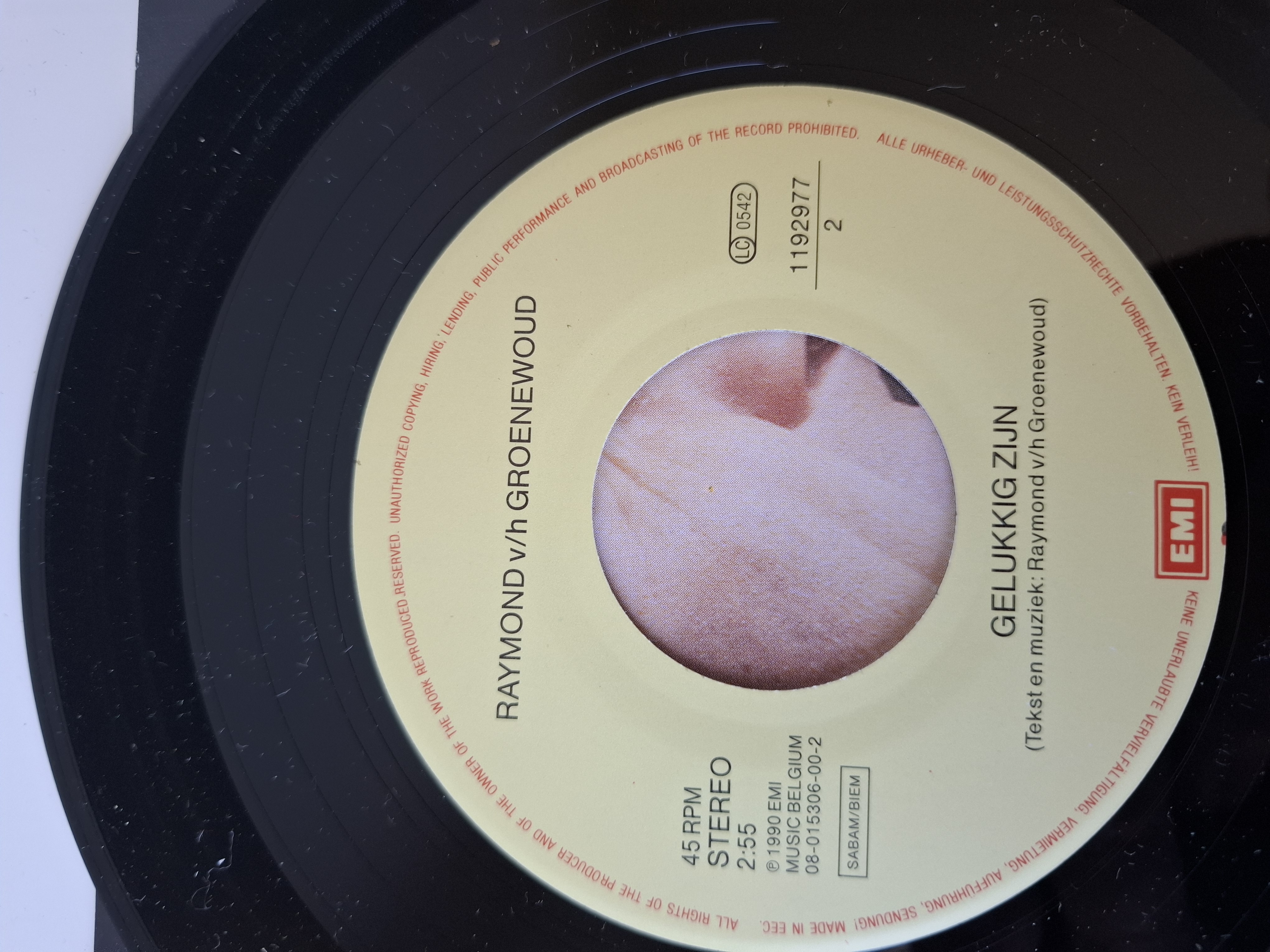 Raymond van het Groenewoud - Liefde voor muziek