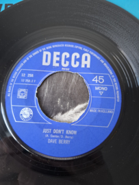 Dave Berry - I'm gonna take you there