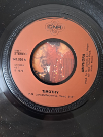 Amphora - Timothy