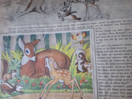Plaatjesboek Bambi