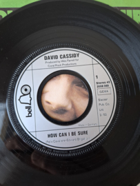 David Cassidy - How can I be sure