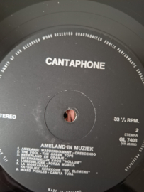 Ameland in Muziek